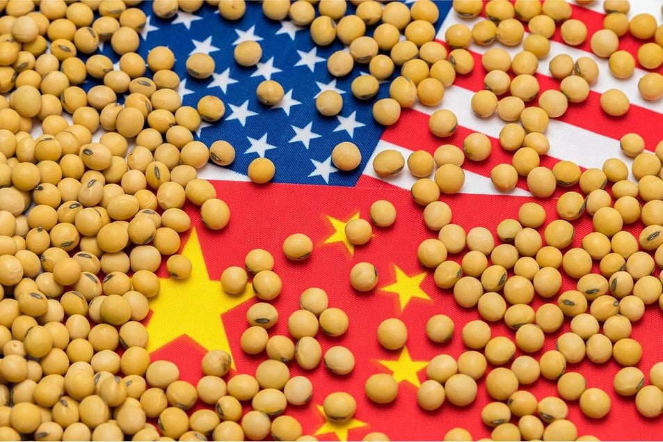 China Pauses Soybean Buying as Brazil Premiums Climb — Markets Watch for Reserve Drawdown China soybean imports under review